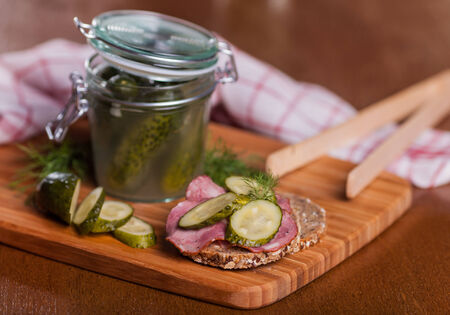 Traditional homemade sandwich pickled cucumbersの写真素材