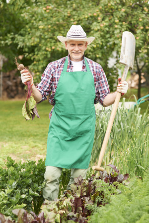 Portrait of proud farmer with ripe beet の写真素材