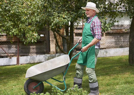 Hard working mature man in gardenの写真素材