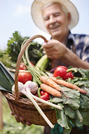 Raw vegetables are full of vitaminsの写真素材