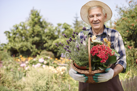 Basket of beautiful flowers held by senior manの写真素材