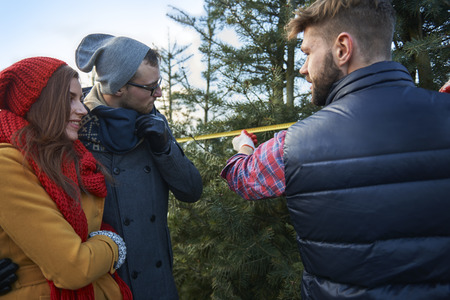 That will be fine in our living roomの写真素材