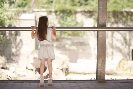 Curious little girl at the zooの写真素材