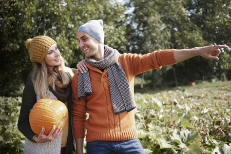 Man showing the biggest pumpkin in the fieldの写真素材