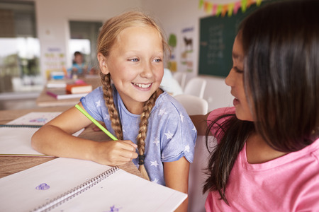 Two best friends in one deskの写真素材