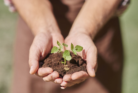 Let the seedling growth much bigger