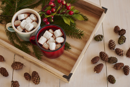 Enjoy your marshmallows in the mugsの写真素材