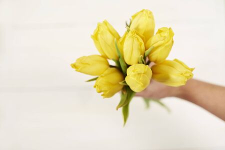 Human hand holding bunch of yellow tulipsの写真素材