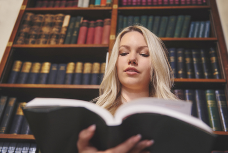 Female in the library reading bookの写真素材