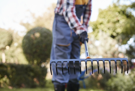 Defocused man raking leaves at garden の写真素材