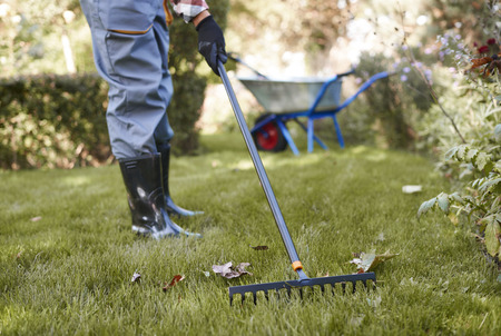 Unrecognizable man raking leaves in the garden Unrecognizable man raking leaves in the garden