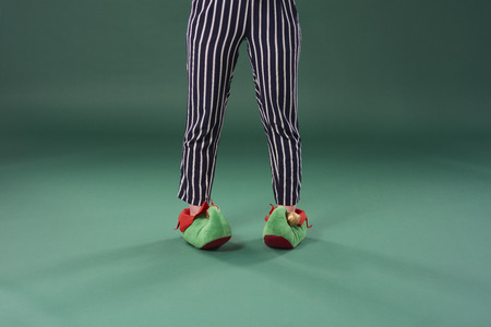 Front view of elf's legsの写真素材