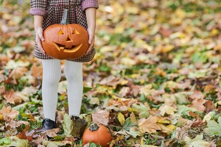 Pumpkin as the symbol of Halloweenの写真素材