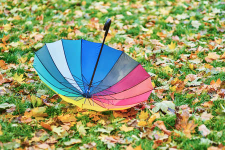 Colorful umbrella among autumnal leavesの写真素材
