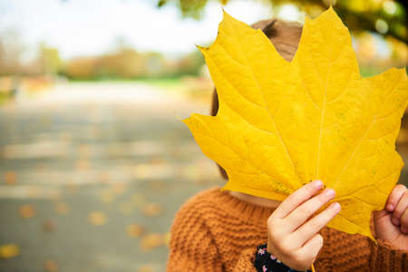 Happy dog and family in the backgroundの写真素材