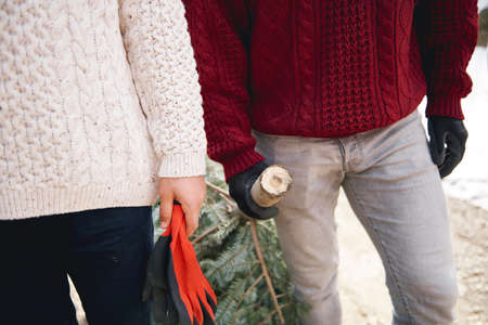 Close up of men pulling the christmas treeの写真素材