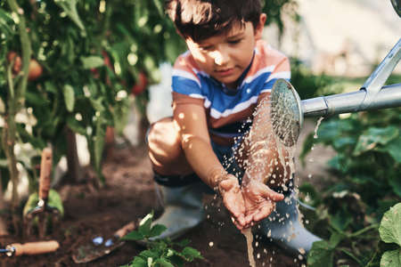 Boy washing his hands with water from a watering canの写真素材