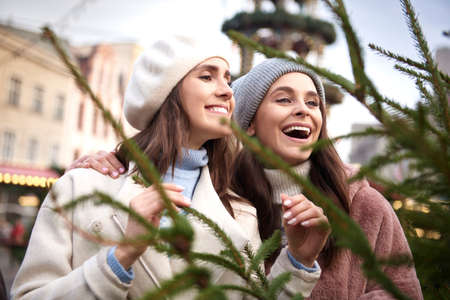 Two women picking a perfect Christmas treeの写真素材