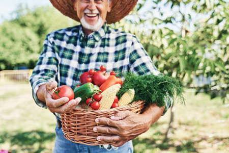 Happy farmer with a basket full of seasonal vegetables