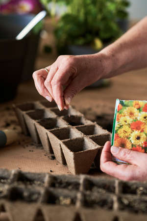 Close up of hand sows flower seeds