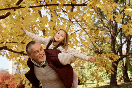 Senior man with her granddaughter playing at the park in the autumnの写真素材