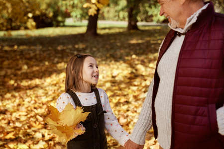 Little girl with her grandfather walking at the park during the autumnの写真素材