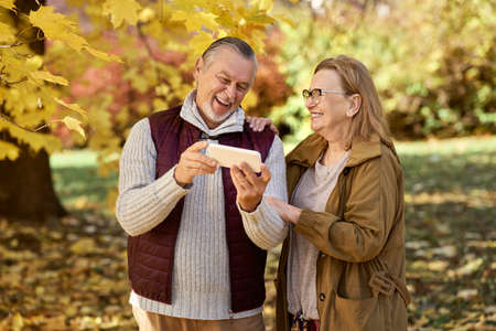 Senior woman and man looking at mobile phone at the park in autumnの写真素材