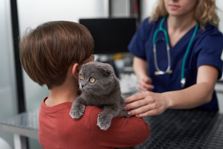 Small boy with cat has a visit to veterinarian doctorの写真素材
