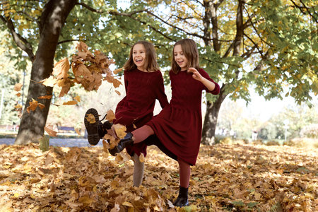 Caucasian child siblings having fun in the woodsの写真素材