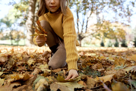 Part of girl looking for perfect autumn leaf in parkの写真素材