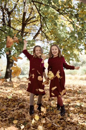 Caucasian child siblings having fun in the woodsの写真素材