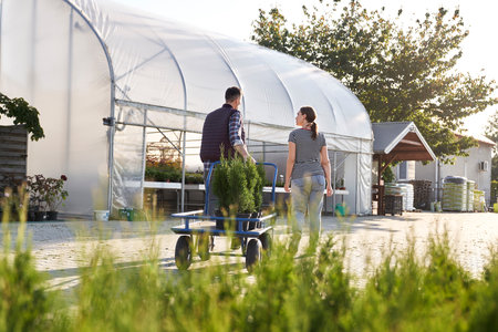 Back view of garden center worker advising the client over plantsの写真素材