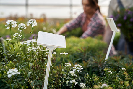 Empty label and garden workers in the backgroundの写真素材