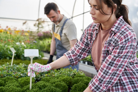 Female garden worker putting empty label into flower boxの写真素材