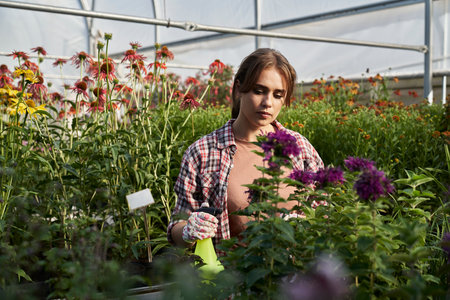 Caucasian woman spraying plants in the greenhouseの写真素材