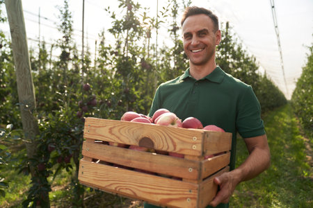 Portrait of sales representative with a crate full of applesの写真素材