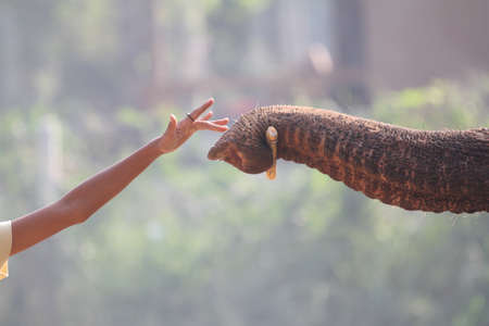 my friendの写真素材