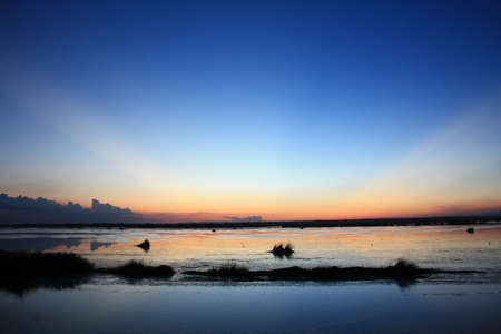 evening lifeの写真素材