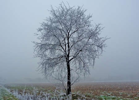 icy winterの写真素材