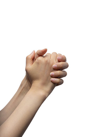 gestures with hands on a white backgroundの写真素材