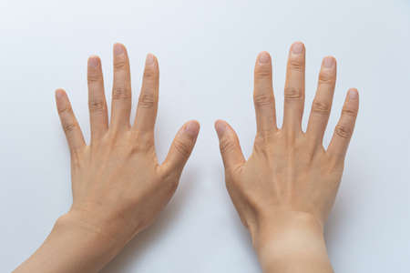 Finger gestures in various actions on a white backgroundの写真素材