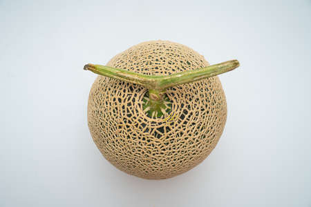 Delicious looking tropical fruit melon on a white backgroundの写真素材