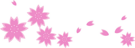 Cherry blossom petals falling down. Isolated vector illustration.のイラスト素材