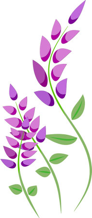 Illustration of purple lupine flowers with leaves on white backgroundのイラスト素材