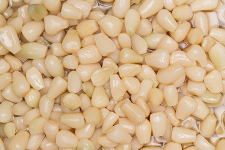 A variety of Korean side dishes in a containerの写真素材