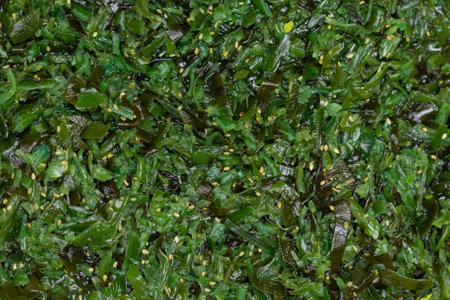 A variety of Korean side dishes in a containerの写真素材