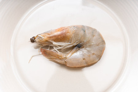 Fresh raw shrimp plated in a bowl on white backgroundの写真素材