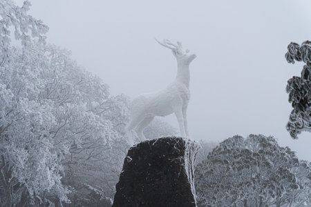 Beautiful roe deer statue covered in snowの写真素材