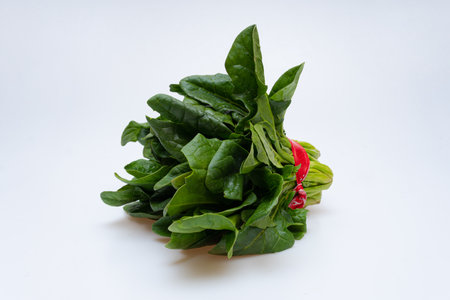 Bunch of fresh spinach on a white backgroundの写真素材