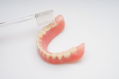 Teeth model and toothbrush on white background. Dentistry concept.の写真素材